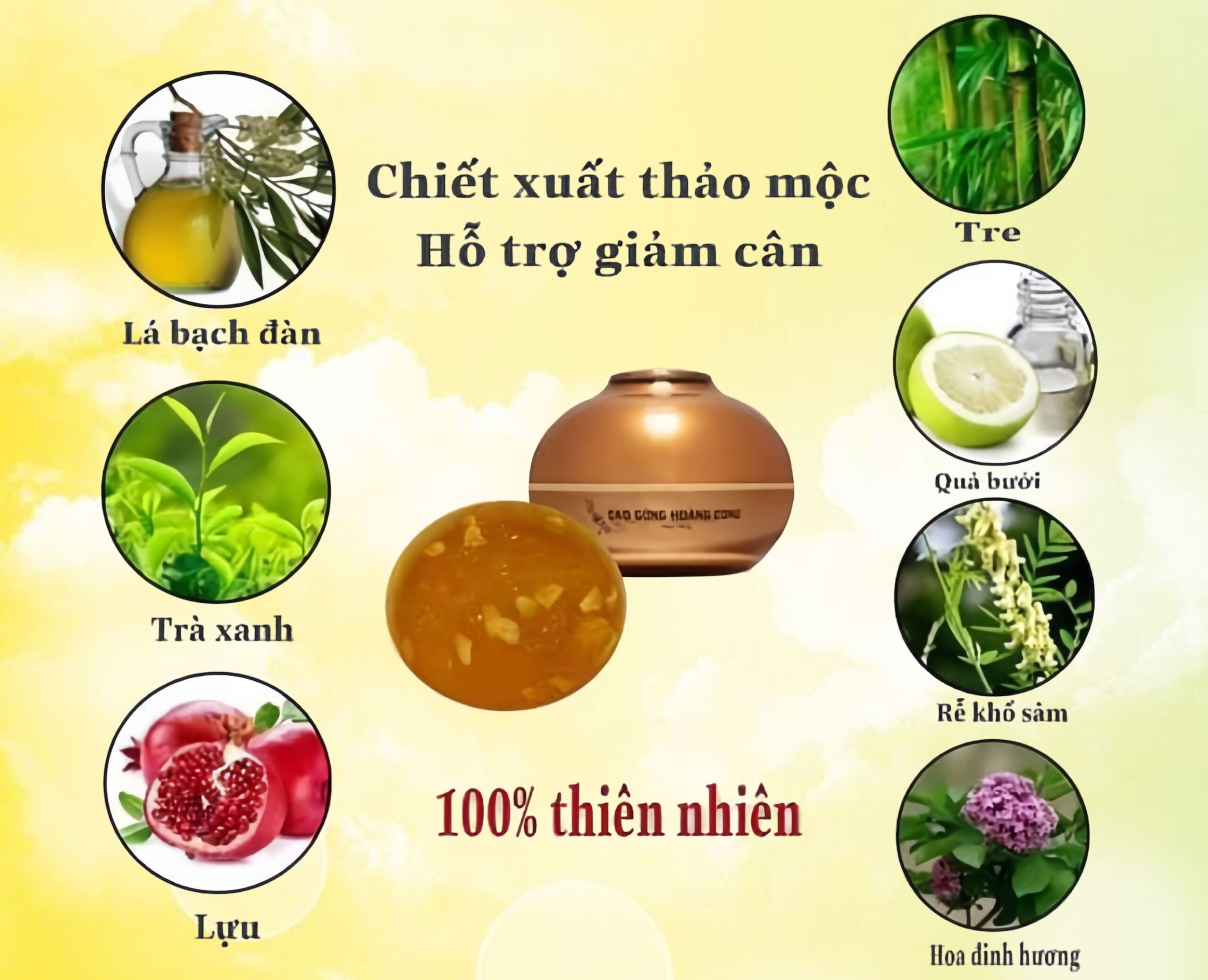 Thành phần thảo mọc trong cao gừng hoàng cung